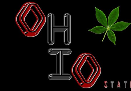 OH-IO GO BUCKS WITH A BUCKEYE LEAF - FOOTBALL, BUCKEYES, STATE, OHIO