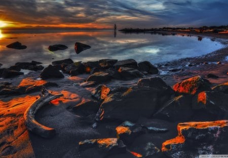 fantastic sunset - rocks, driftwood, beach, sunset, sea