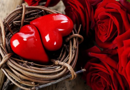 â™¥â™¥â™¥ Socket for our love â™¥â™¥â™¥ - roses, hearts, pretty, red roses, two hearts, love, valentine, lovely, holidays, nest, romantic, beautiful, sweet, all hearts, beloved valentines, flowers, two red