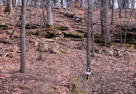 Trail to overlook - nature, afternoon, trail, hiking