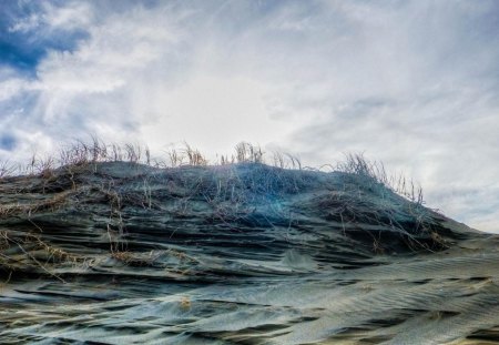 muriwai beach in new zealand hdr - clouds, beach, hdr, grass, dune