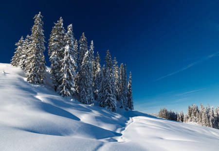 Country walk - winter, cold, snow, footprints, country, sky