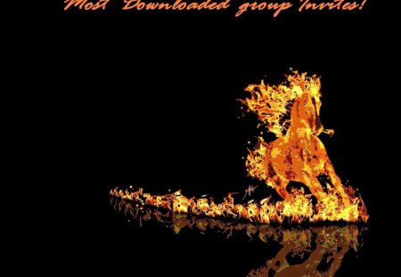 Most Downloaded group invites! - flame, horse, invitation, animal, orange, black, fire, fantasy