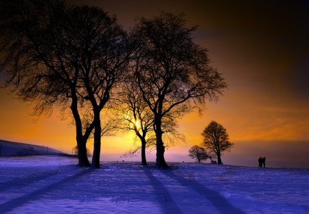 Sunlight - clouds, sunlight, sunset, nature, landscape, trss, sky