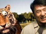 Jackie Chan Tiger