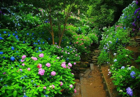 Forest garden - beauty, nice, trees, greenery, park, lovely, bushes, nature, floral, forest, pretty, beautiful, green, alleys, grass, garden