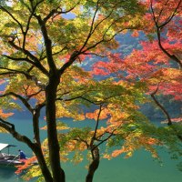 *** Autumn in Japan ***