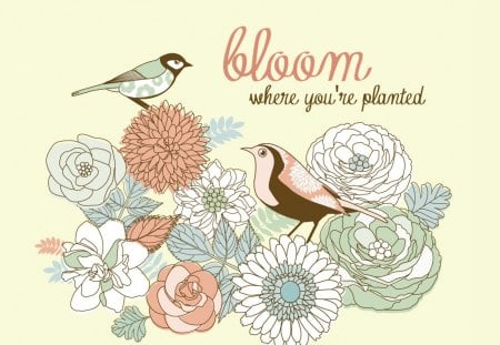 Bloom Where You're Planted - birds, summer, fragrant, spring, light, bouquet, flowers, garden, pale