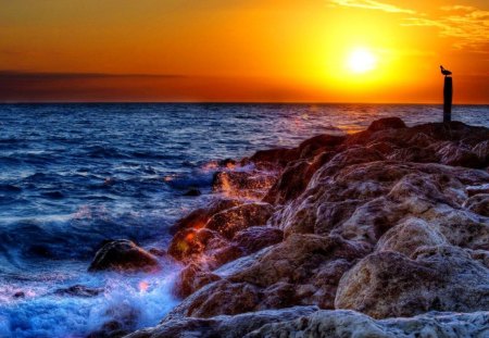 Seascape - pretty, summer, sundown, coast, beach, sunrise, reflection, shore, lvoely, golden, nice, sun, water, beautiful, sea, orange, ocean, stones, glow, nature, sunset, rays, waves, rocks