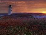 awesome lighthouse at sunset landscape