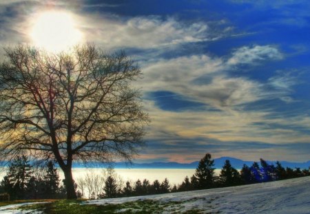 sunny day in winter - sun, clouds, winter, tree, meadow, bay