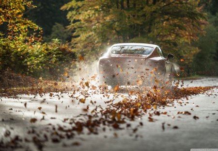 Bentley - Trees, Bentley, Car, Nature, Sedan, Road