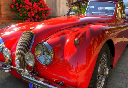 vintage red convertible  - flowers, car, convertible, red