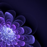 A lovely purple fractal flower