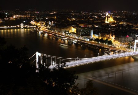 Elisabeth Bridge - Budapest - Hungary - river, city, hungary, bridge