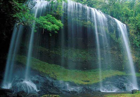 Nature - greenery, nature, water, falls