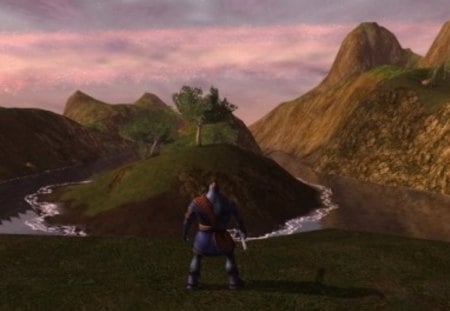 It is worth - mmorpg, game, Darkfall, DFUW