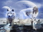 Goddess Of The Moon Wolves