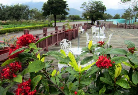 Garden restaurant - restaurant, chair and desk, garden, flower