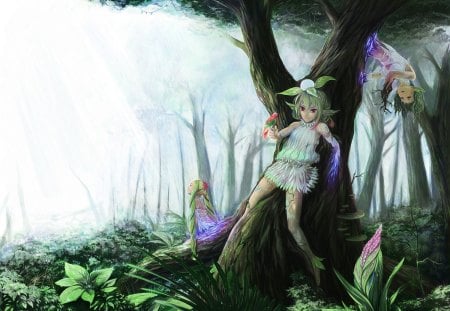 ~Magic Forest Nymphs~ - forest, beautiful, anime, plants, fantasy, magic, stunning, nymphs, trees, nature