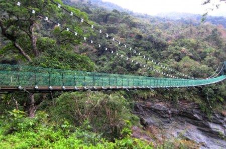 Suspension bridge - mountain, tree, Suspension bridge, hiking