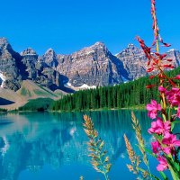Lake view