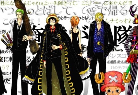 ONEPIECE PASSION - onepiece, style, passion, armor