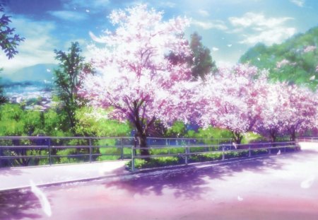 Cherry Blossoms Path - pretty, anime, scenery, blossom, scene, plant, path, view, sky, breeze, sakura, cherry blossom, beautiful, road, scenic, beauty, lovely, sakura blossom, sweet, flower, petals, shadow, tree, street, nature, cloud, shade, floral