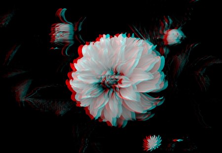 3d Dahlia - flower, 3d, nature, abstract