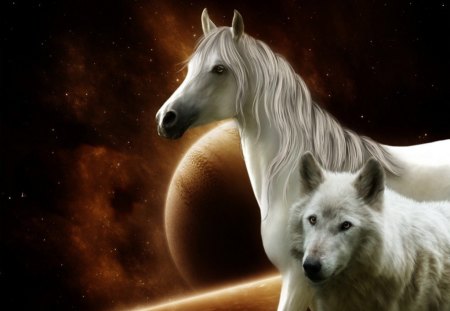 Horse and Wolf - moon, night, horse, wolf