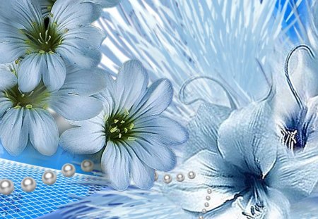 Blues - pearls, summer, daisy, spring, fragrant, fleurs, lily, blue, flowers, garden