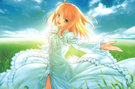 Saber - pretty, female, scenery, scene, green eyes, light, happy, blond, field, eautiful, gown, hot, beauty, green, cute, sexy, saber, anime, elegant, dress, blonde, grass, blond hair, long hair, gorgeous, view, sky, anime girl, beautiful, girl, scenic, blonde hair, lovely, sweet, smile, cloud, fate stay night