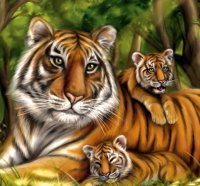 Tiger and Cubs