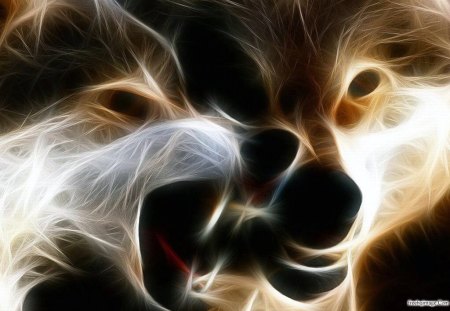 3d-image - image, wolves, photo, 3d