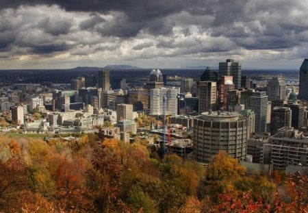 city - city, skyscrapers, architecture, cool