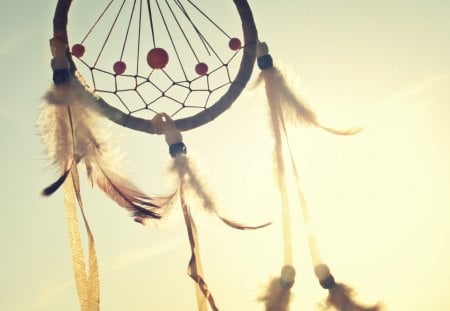 Dreamcatcher