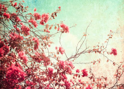 Blossom - branch, blossom, leaves, tree, colorful, retro, nature, twig, soft, leaf, texture, sky, pastel