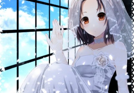 Anime Bride - beauty, sky, female, brown eyes, hot, bride, anime girl, black hair, rose, white, cloud, window, petals, anime, cute, short hair, wedding, wed, sexy, veil, girl, floral, blossom, flower