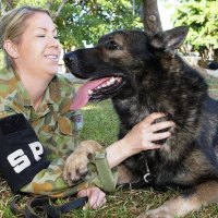 Military shepherd