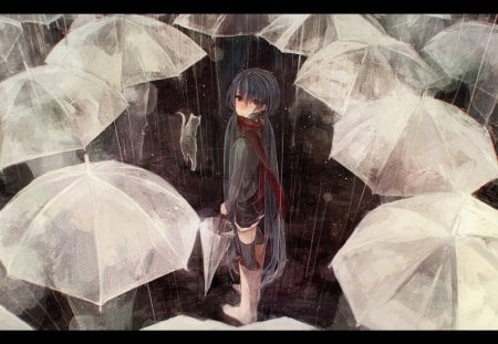 Hatsune Miku - Vocaloid, umbrela, anime, scarf, Hatsune Miku, rain, girl, cat