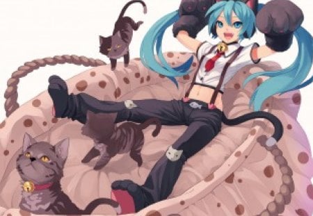 Neko Miku - vocaloid, anime, neko, Hatsune Miku, girl, long hair, cat, cat ears