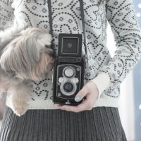 Dog and camera