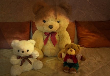 LITTLE COMPANY - animal, bears, teddy, toys