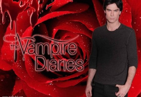 be my valentine - vampire, sexy, red, damon