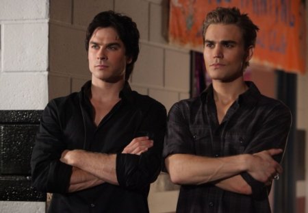 vampire brothers - cute, vampires, tv, damon