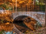 Reflected Bridge