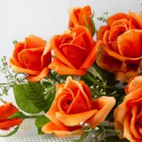 Gorgeous Orange Roses