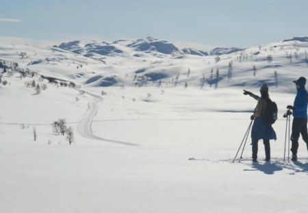 Winter sport - path, winter, people, snow, skiing