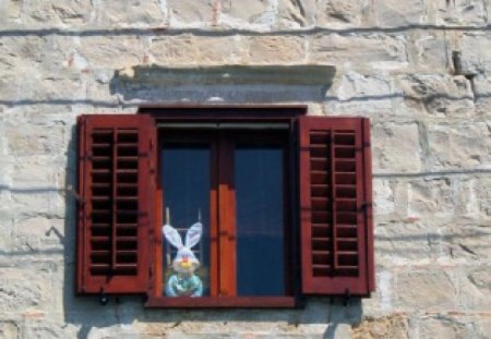 bunny window - bunny, window