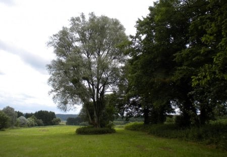 field view in belgique-1 - fields, forests, trees, woods